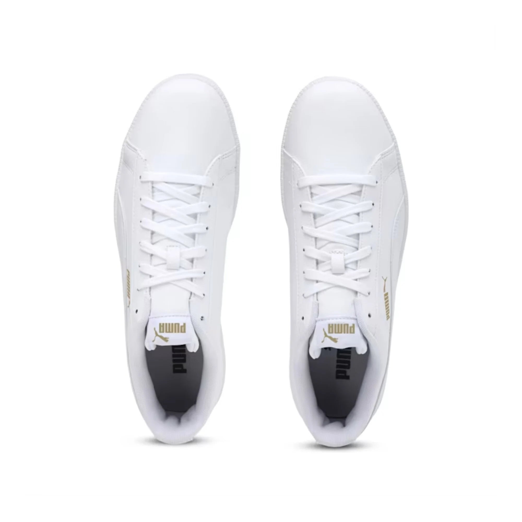 tenis puma up
