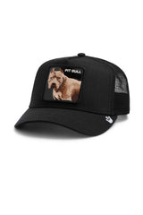 gorra goorin bros the dog pitbull black